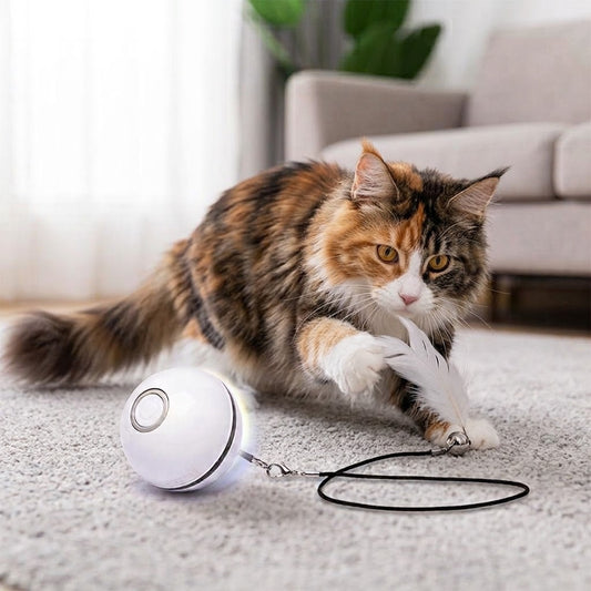 Intelligent Interactive Ball Pro (6cm) - Autonomous Movement