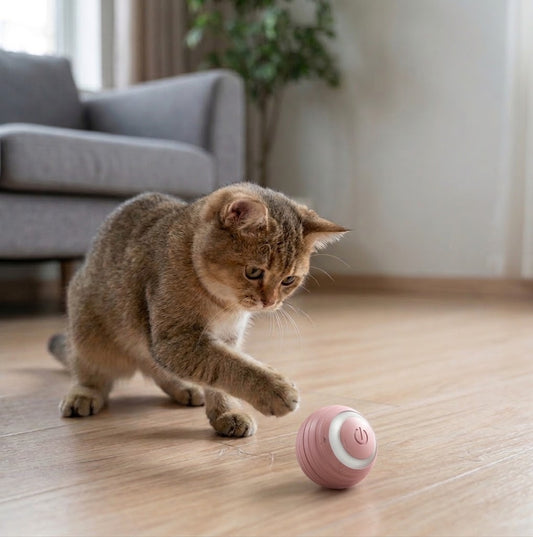 PawMotion™ – Smart Ball for Cats